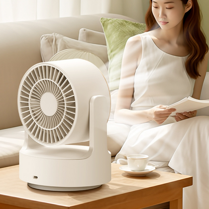 Multifunctional Circulating Fan